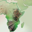 Top 10 African countries with the highest 2024 economic forecast - See list