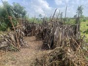 Les abris provisoires, un mal profond de l’école sénégalaise, sont une réalité dans certaines zones du pays.