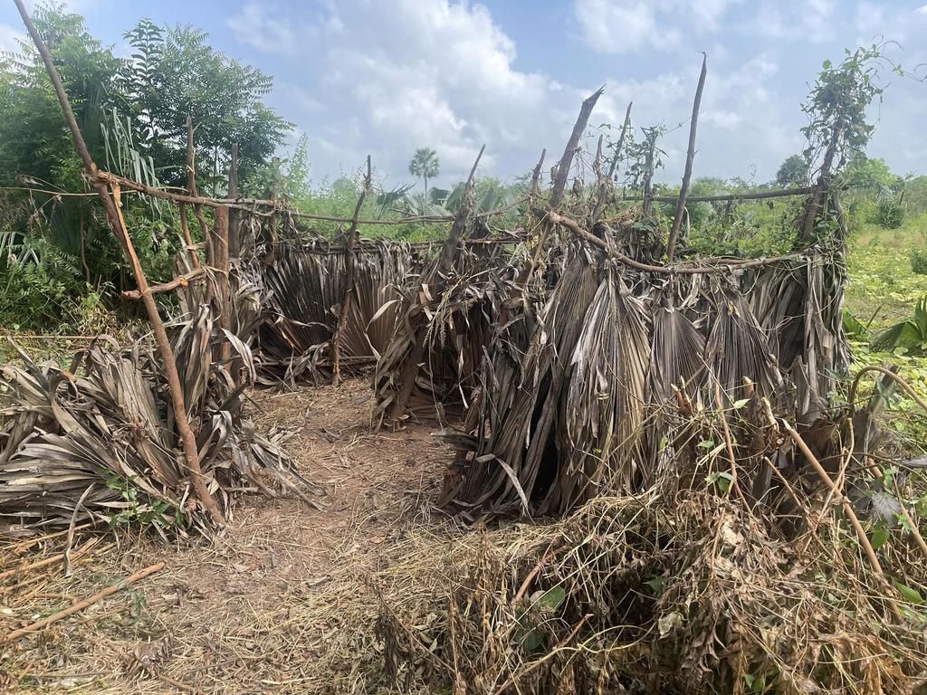 Les abris provisoires, un mal profond de l’école sénégalaise, sont une réalité dans certaines zones du pays.