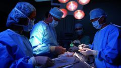 transplantation-rein-greffe-renale-chirurgie (1)