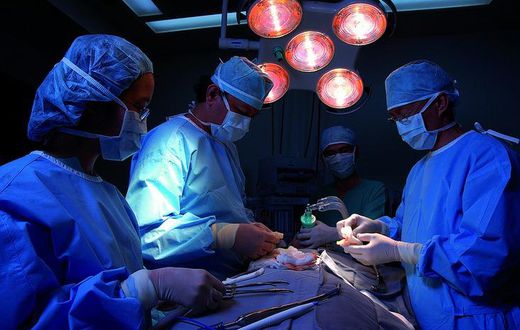 transplantation-rein-greffe-renale-chirurgie (1)