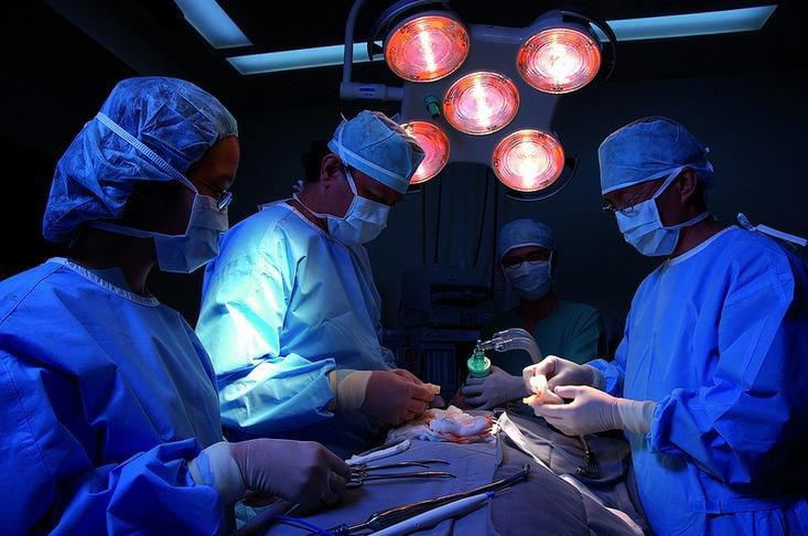 transplantation-rein-greffe-renale-chirurgie (1)
