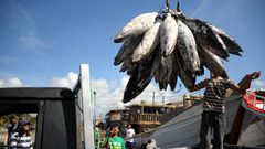 © SONNY TUMBELAKA / AFP