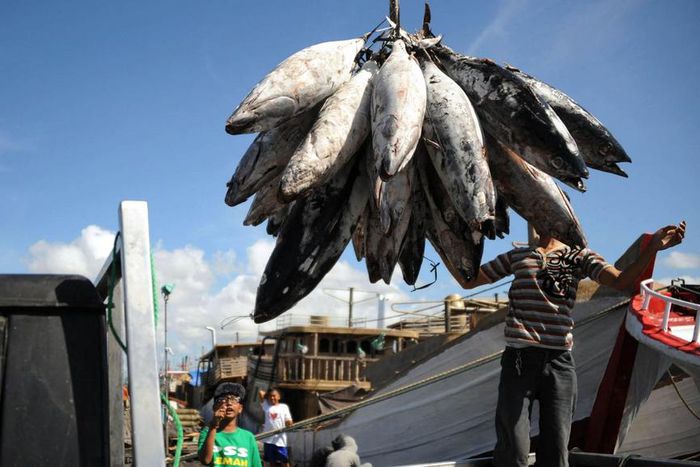 © SONNY TUMBELAKA / AFP