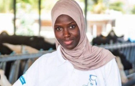 fille mansour faye