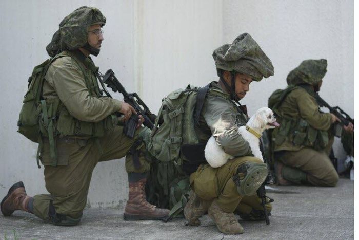 l-armee-israelienne-a-exige-l-evacuation-vers-le-sud-de-tous-les-civils-la-zone-nord-de-la-bande-de-gaza-photo-sipa-erik-marmor-ap-1697265878