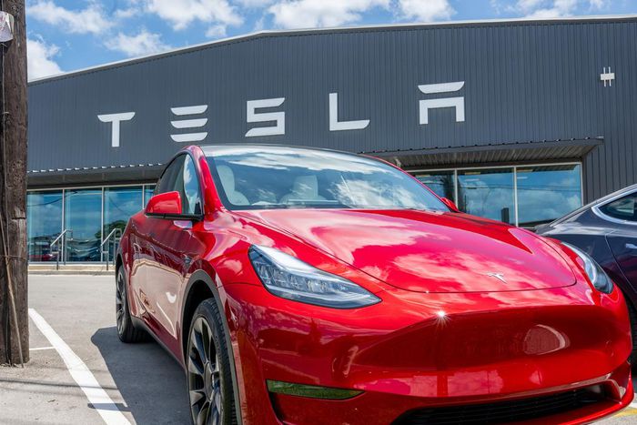 Tesla owners told Insider some of the best practices for taking the EV on a road trip.Getty Images