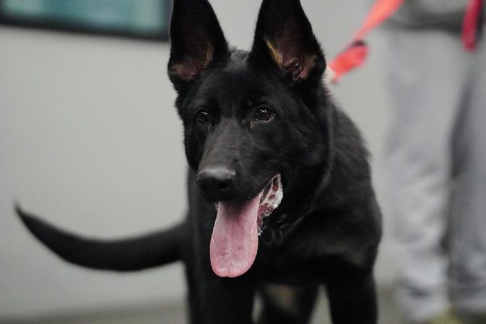 We've gotten pushback