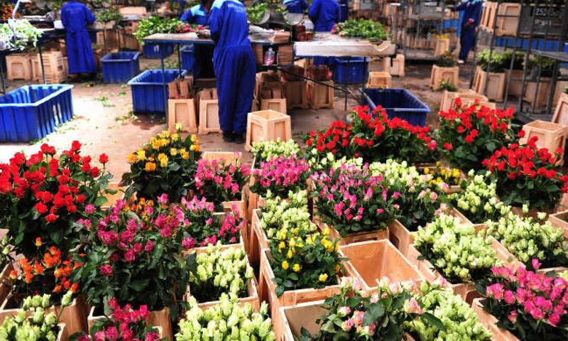 Des fleurs