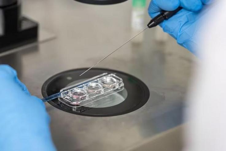 In vitro test