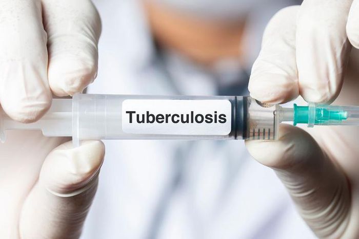 Tuberculosis vaccine (Credit: Today's Clinical Lab)