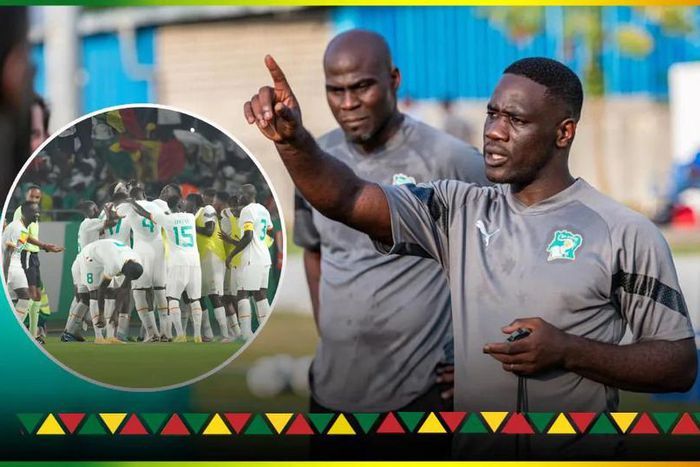 Emerse Fae coach des Eléphants