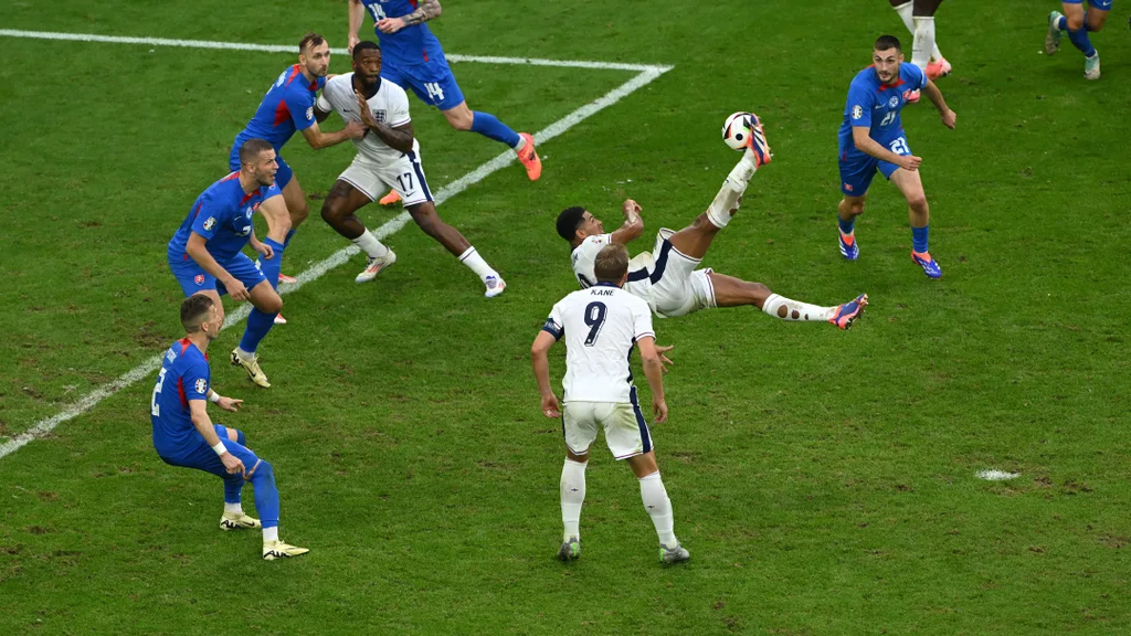 ciseau de bellingham