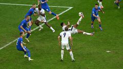 ciseau de bellingham