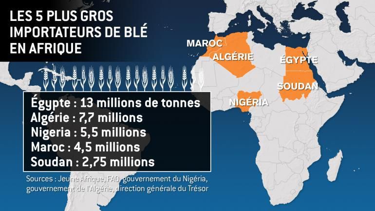 Les cinq plus gros exportateurs de blé en Afrique