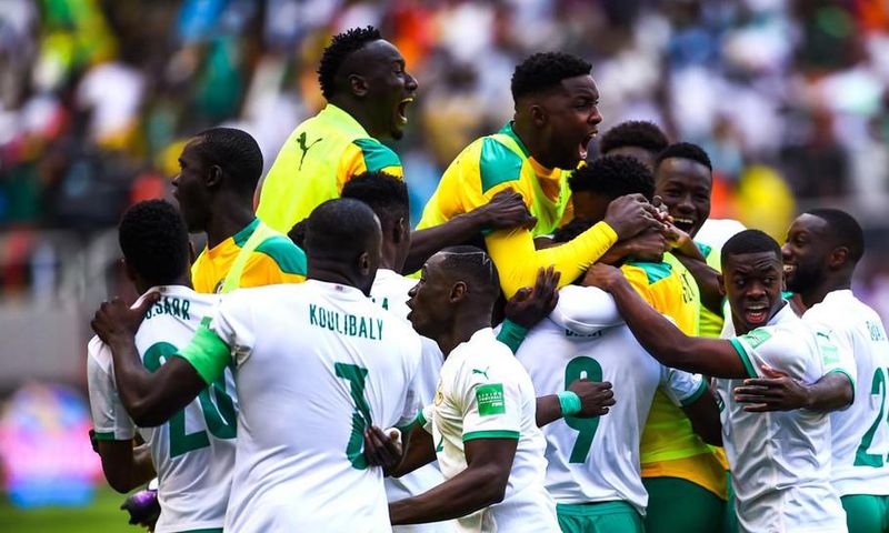 Lions du Sénégal