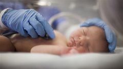 Le miel est le seul aliment qui cause le botulisme infantile au Canada © GI/Jessica Petersen