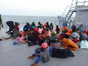 migrants