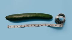 Sept aliments à consommer régulièrement pour avoir un pénis grand et dur
