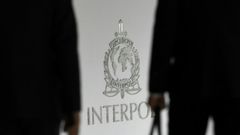 Eleven countries will coordinate with Interpol to track down and arrest suspects trying to tap into public money being released to rescue economies hit by effects of the coronavirus lockdowns