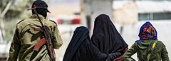 Djihadistes et leurs épouses (illustration)