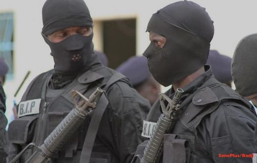 Brigade d'intervention de la police (BIP) / Illustration