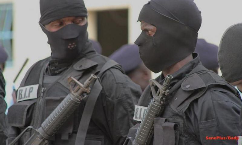Brigade d'intervention de la police (BIP) / Illustration