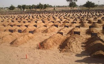 Cimetière Bakhiya de Touba
