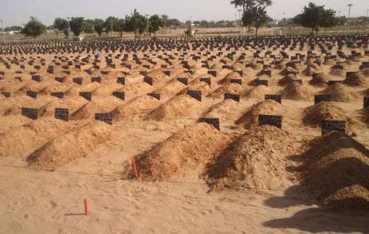 Cimetière Bakhiya de Touba