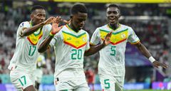 LIONS du Sénégal
