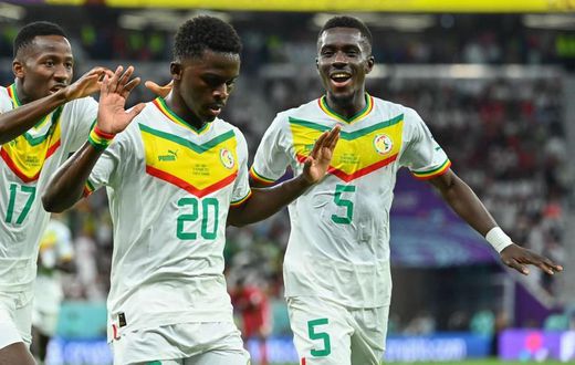 LIONS du Sénégal