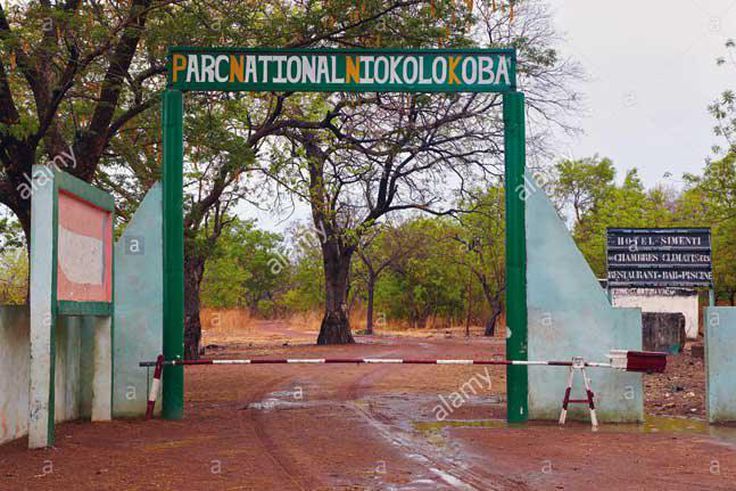 direction-des-parcs-nationaux