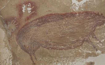 Cochon dessiné sur un mur