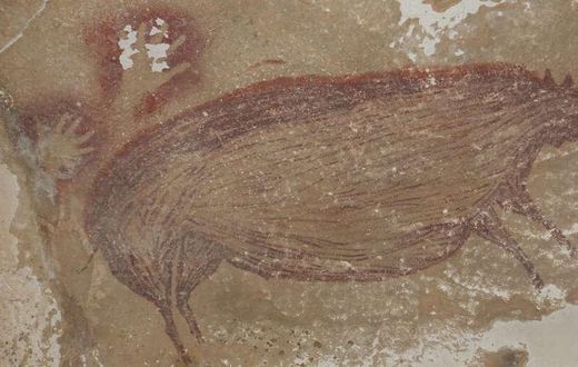 Cochon dessiné sur un mur