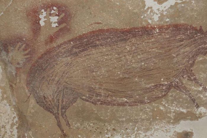 Cochon dessiné sur un mur