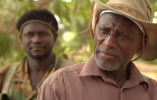 salif-sadio-696x379