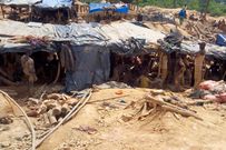 Un site d'orpaillage clandestin