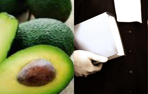 Avocats (professionnels du droit) et le fruit avocat