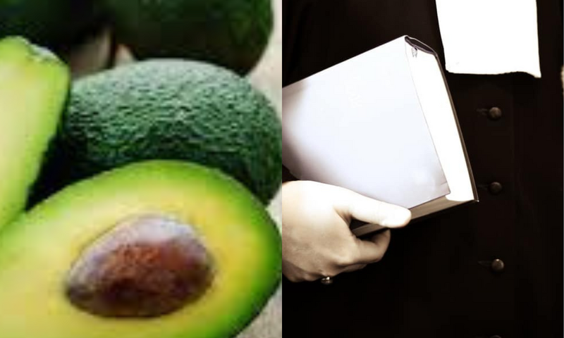 Avocats (professionnels du droit) et le fruit avocat