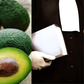 Avocats (professionnels du droit) et le fruit avocat