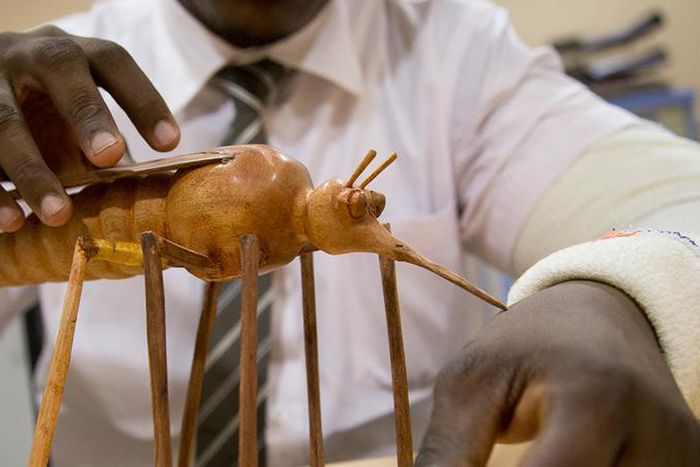 Le paludisme en Afrique