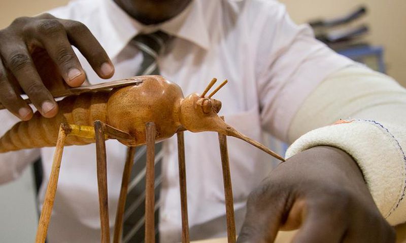 Le paludisme en Afrique