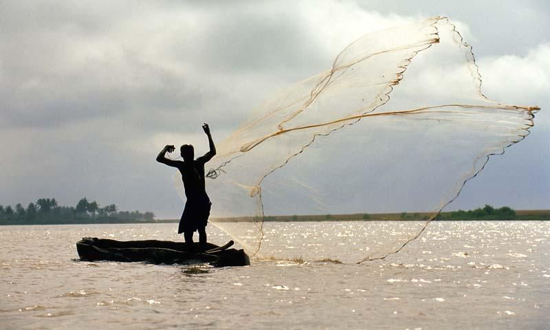 Fleuve gambie