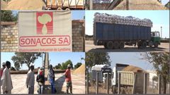 ARACHIDE : LA SONACOS COMPTE ACHETER LE MAXIMUM DE GRAINES, SELON SON DIRECTEUR GÉNÉRAL