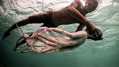 The Bajau people are mostly muslims [NPR]