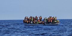 Migrants