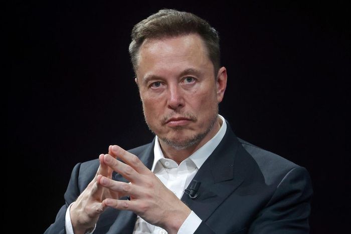 Elon Musk challenged Meta CEO Mark Zuckerberg to a cage fight in June.Chesnot / Getty Images