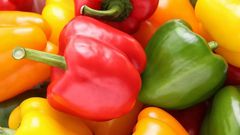 poivron vert rouge et jaune