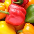 poivron vert rouge et jaune