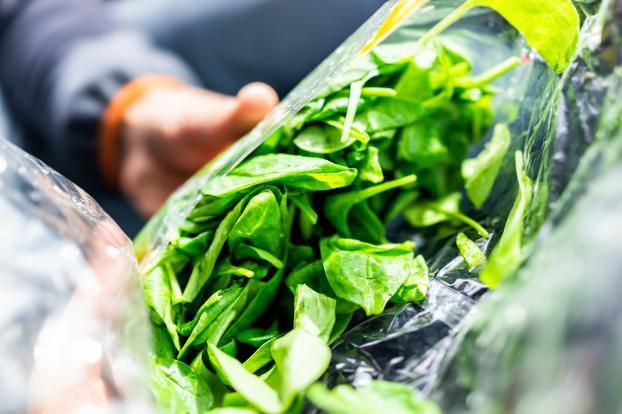Salade en sachet